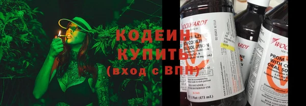 дмт Пересвет