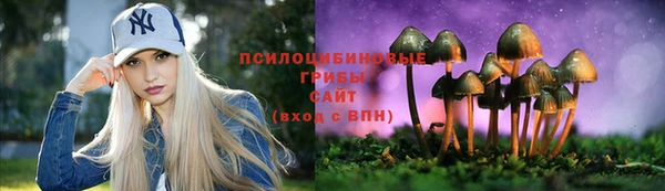 сатива Пестово