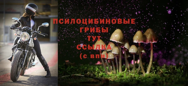 сатива Пестово