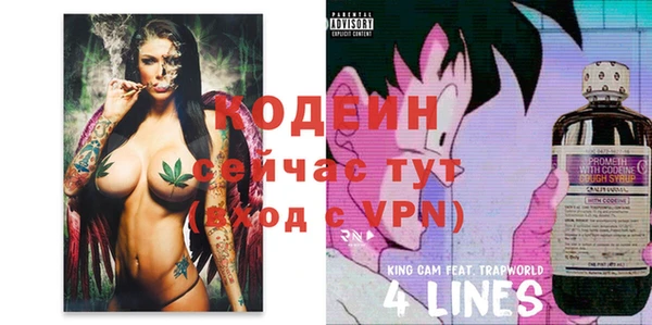 стаф Анжеро-Судженск
