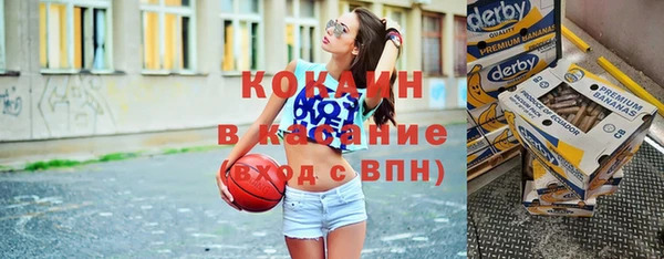 дмт Пересвет