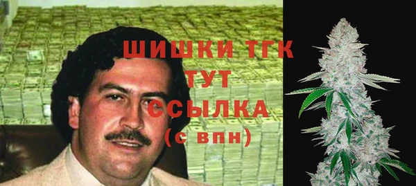 дмт Пересвет