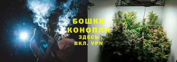 дмт Пересвет