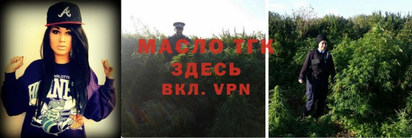 сатива Пестово