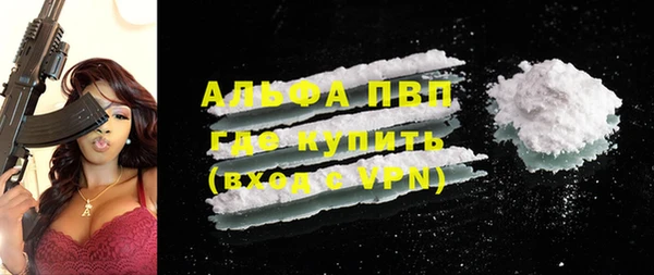 дмт Пересвет