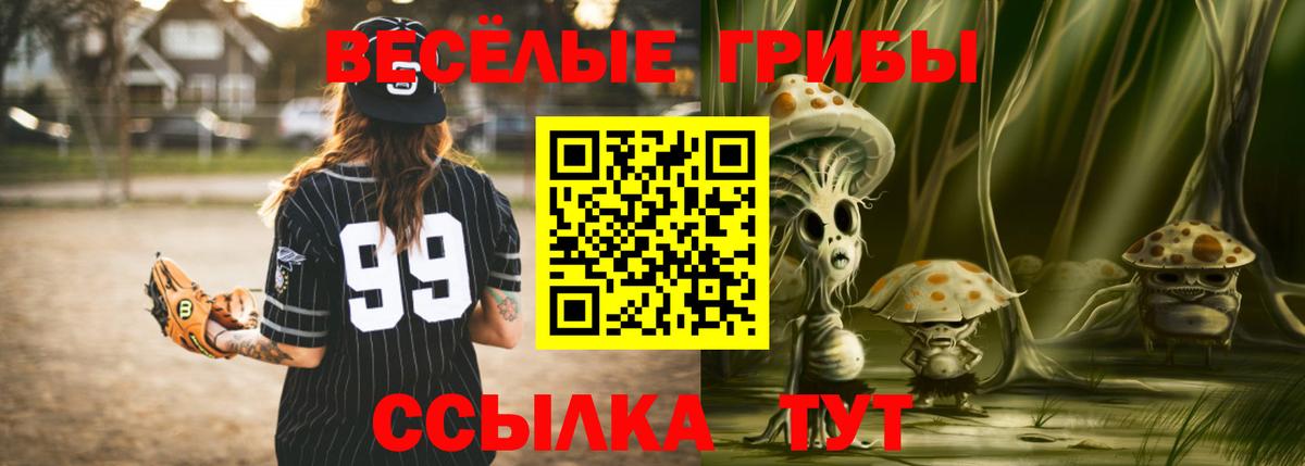 Краснокаменск  Псилоцибиновые грибы GOLDEN TEACHER  Вход с VPN 